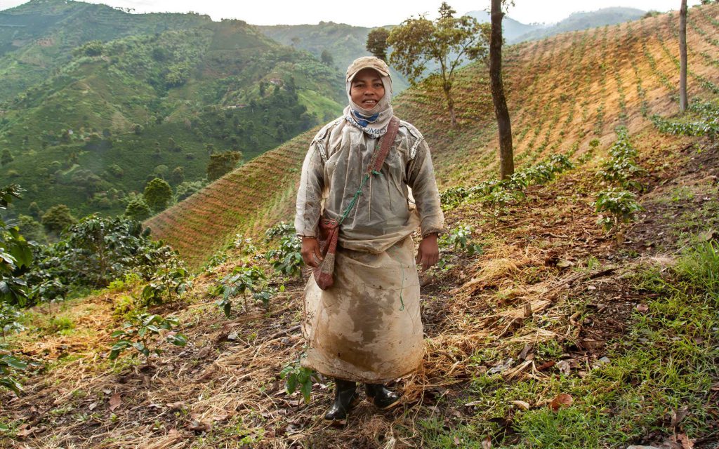 A female coffee farm worker.
