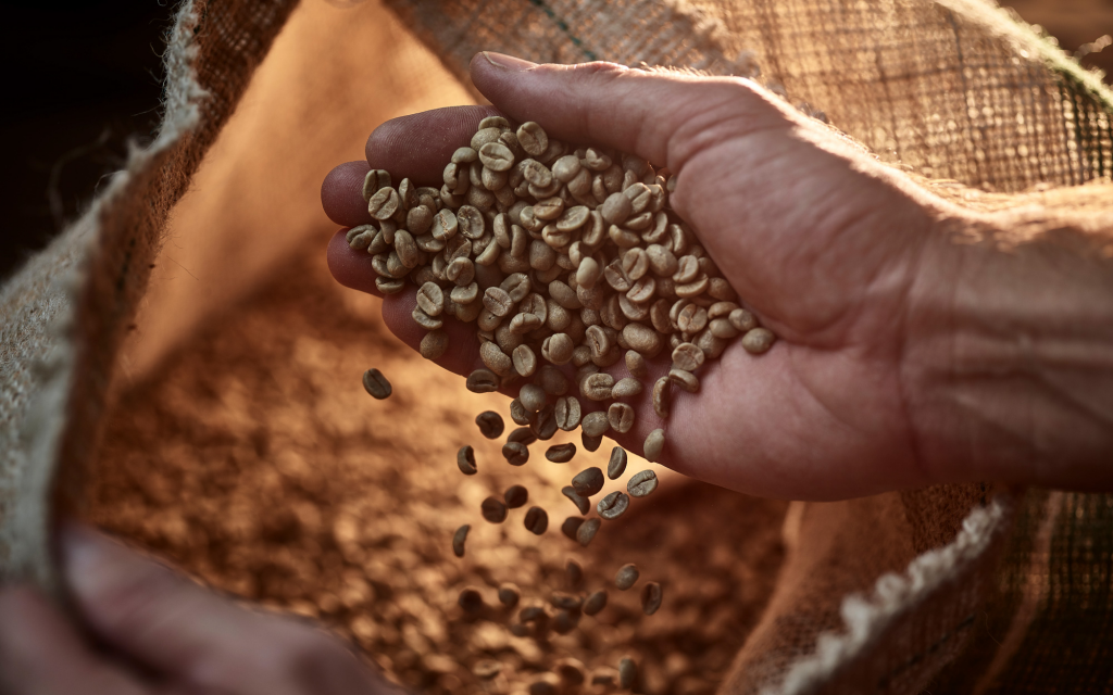 A roaster holds green coffee in a jute bag